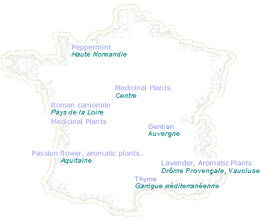 Carte de France des partenaires d'Alp'erbo