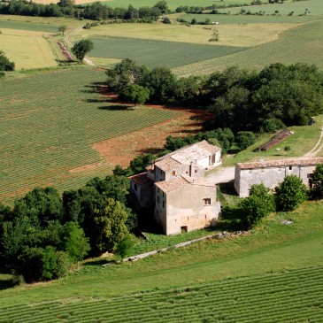 Alp’erbo fête ses 25 ans d’existence !