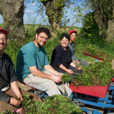 Les Quatre Saisons fêtent nos 25 ans