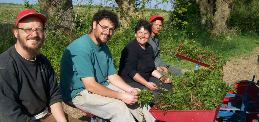 Les Quatre Saisons fêtent nos 25 ans