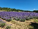 20260706_141802.webp