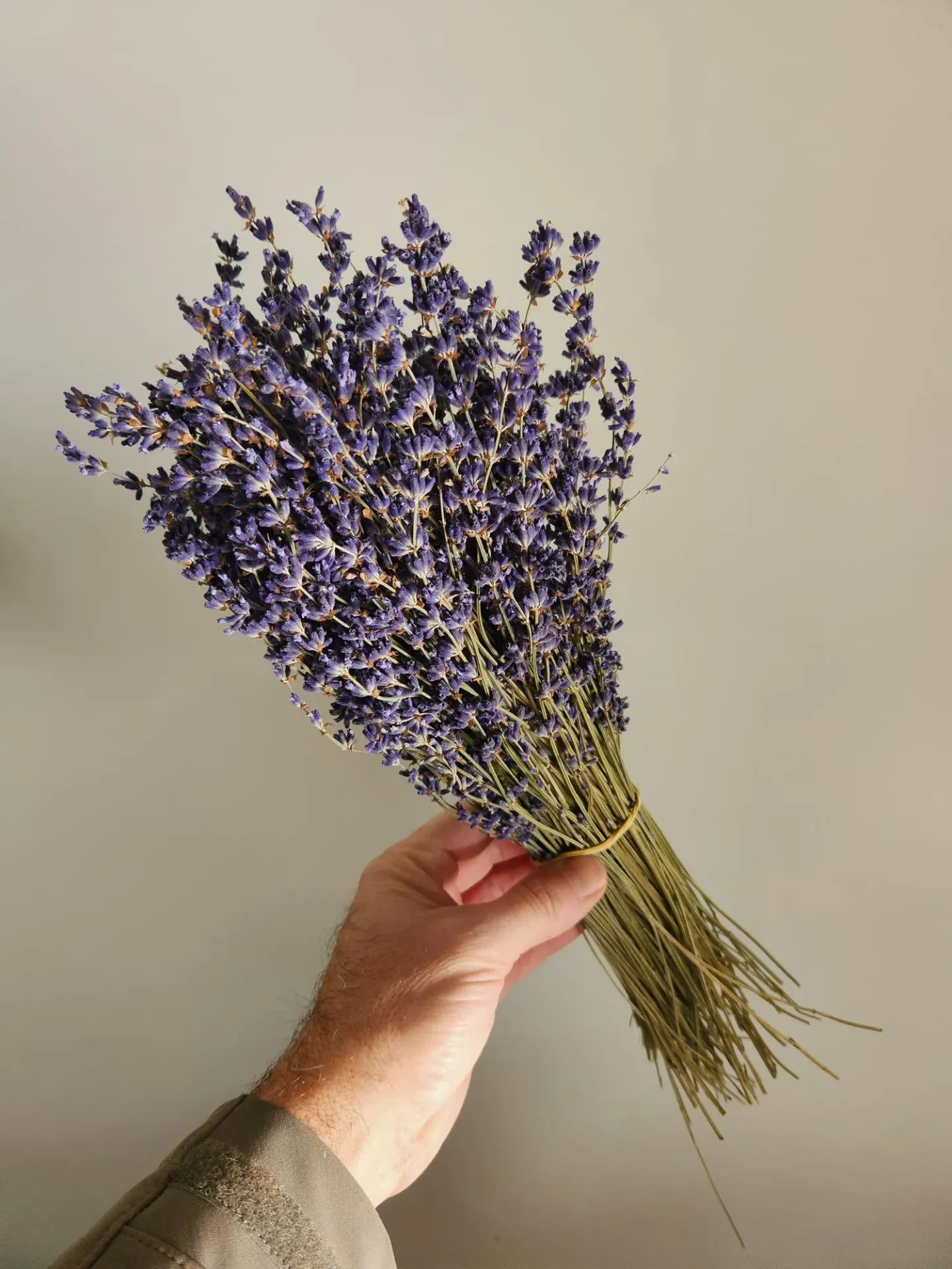 [LAVEC080] Superblue Lavander Bunches from Haute Provence, bunches 80 g