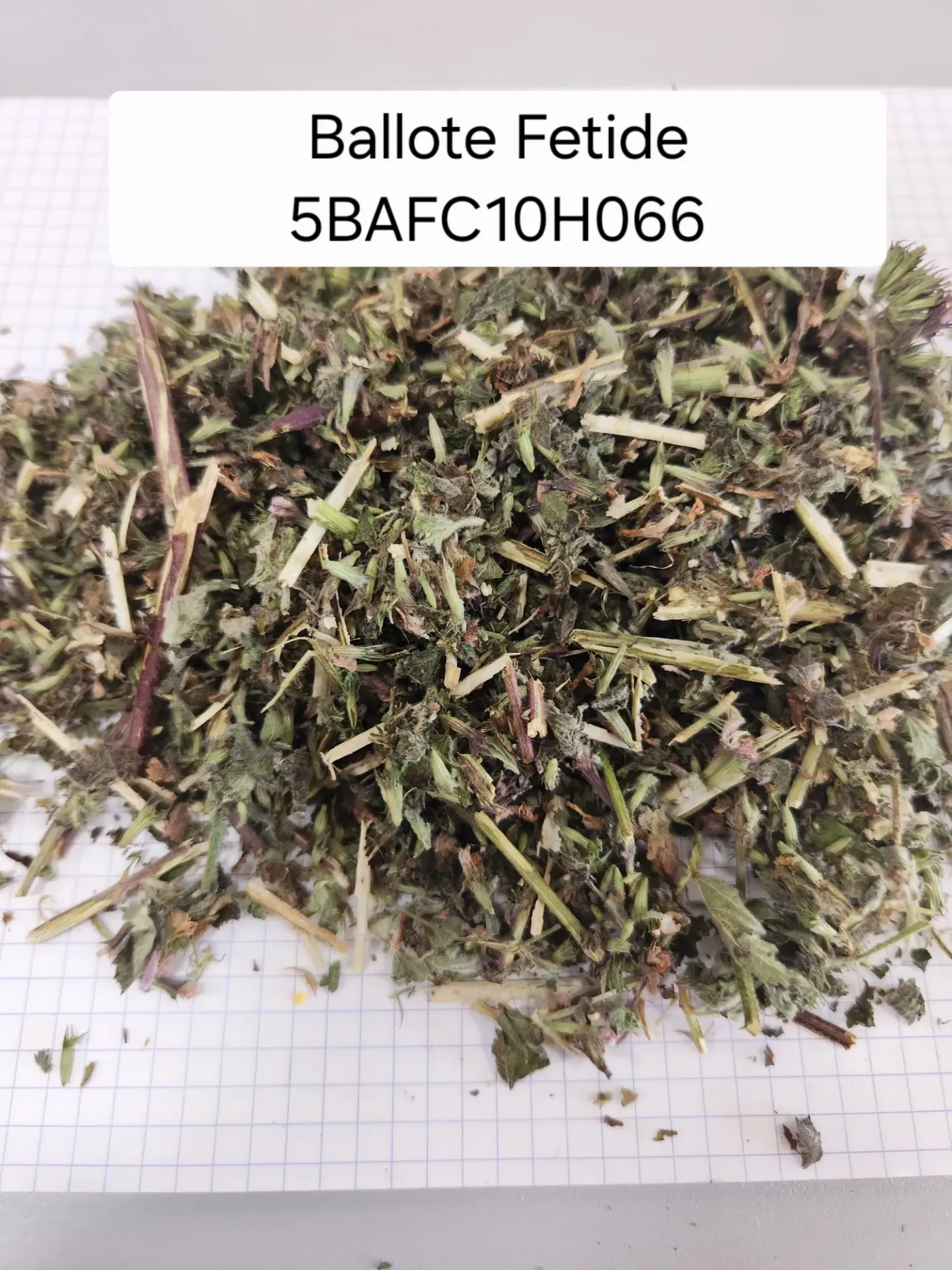 [BALFC001] Ballote fetide, PA coupée 10 mm, le Kg