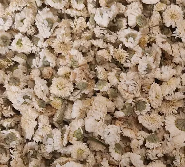 Camomille romaine, fleur entière qualité supérieure, le Kg